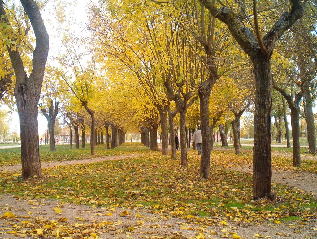 Paseo de los tres arboles. ZAMORA by Aquielrafa