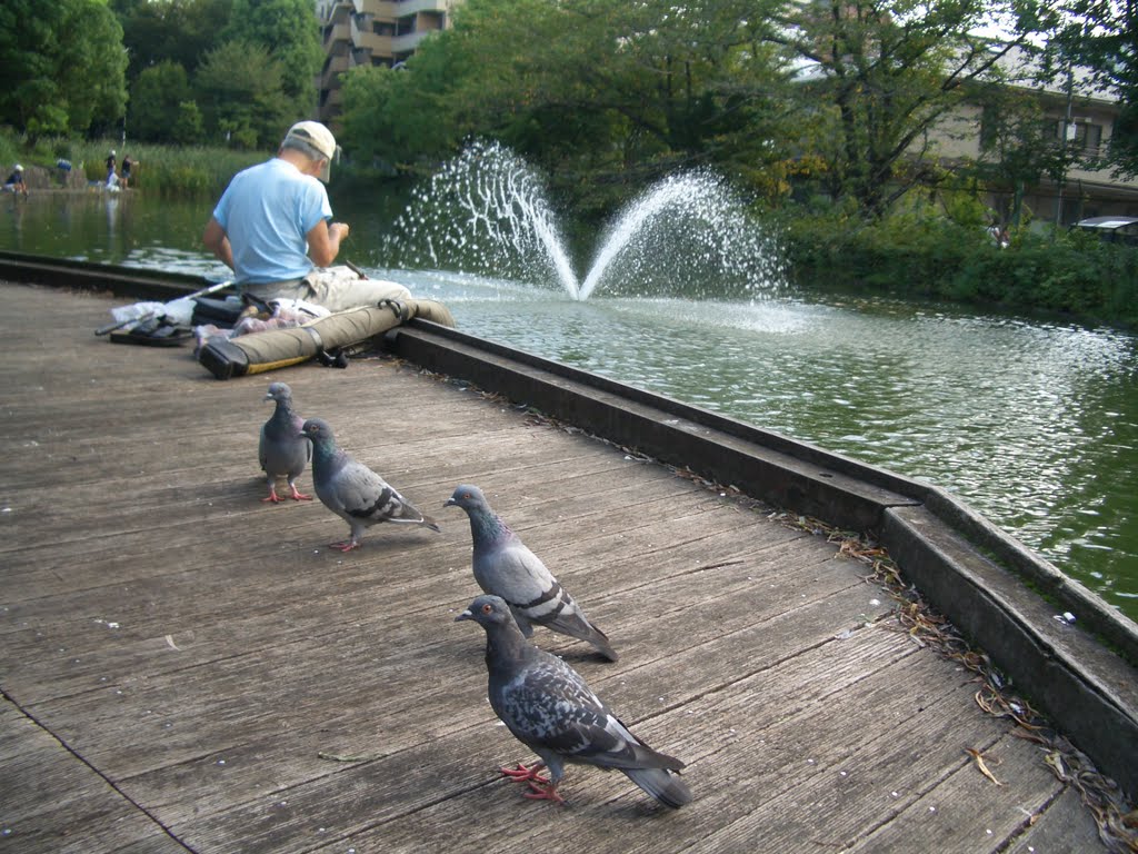 Heiwa No Mori Park(Hyoutan-Ike) / 平和の森公園(ひょうたん池) by LittleGray