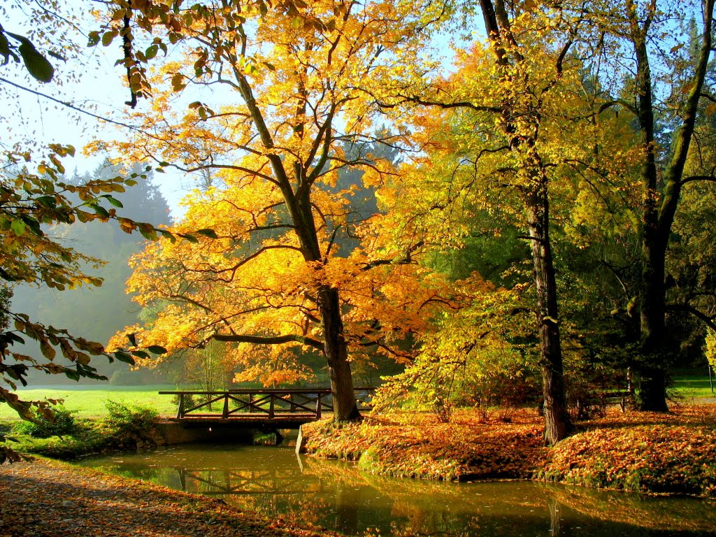 Průhonický park by Petr Šelkolem