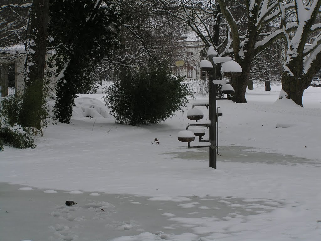 Bad Oeynhausen, Kurpark, Dezember 2010 by karlheinz2011