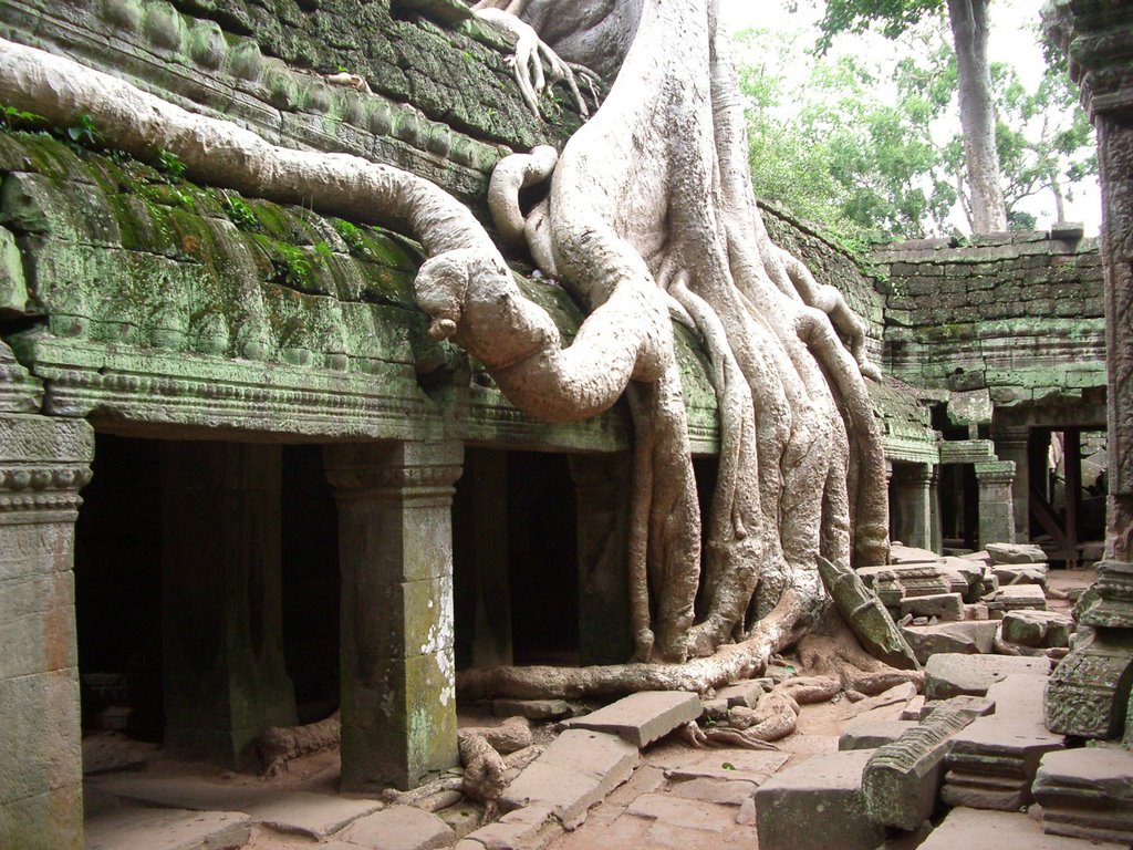 Ta Prohm-Temple by ek63