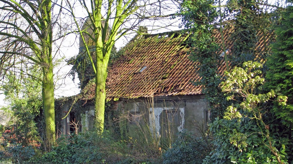 Landgoed Croy - stal Ton van Dijk by Mario Kuijpers