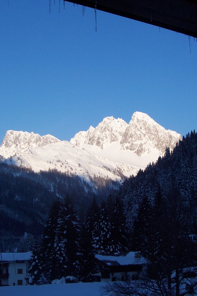 LE PALE DI SAN MARTINO DAL COLBRICON by antonio22