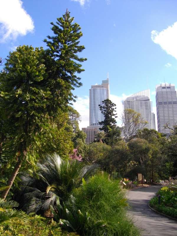 Royal Botanic Gardens, Sydney, NSW by andomansheffield