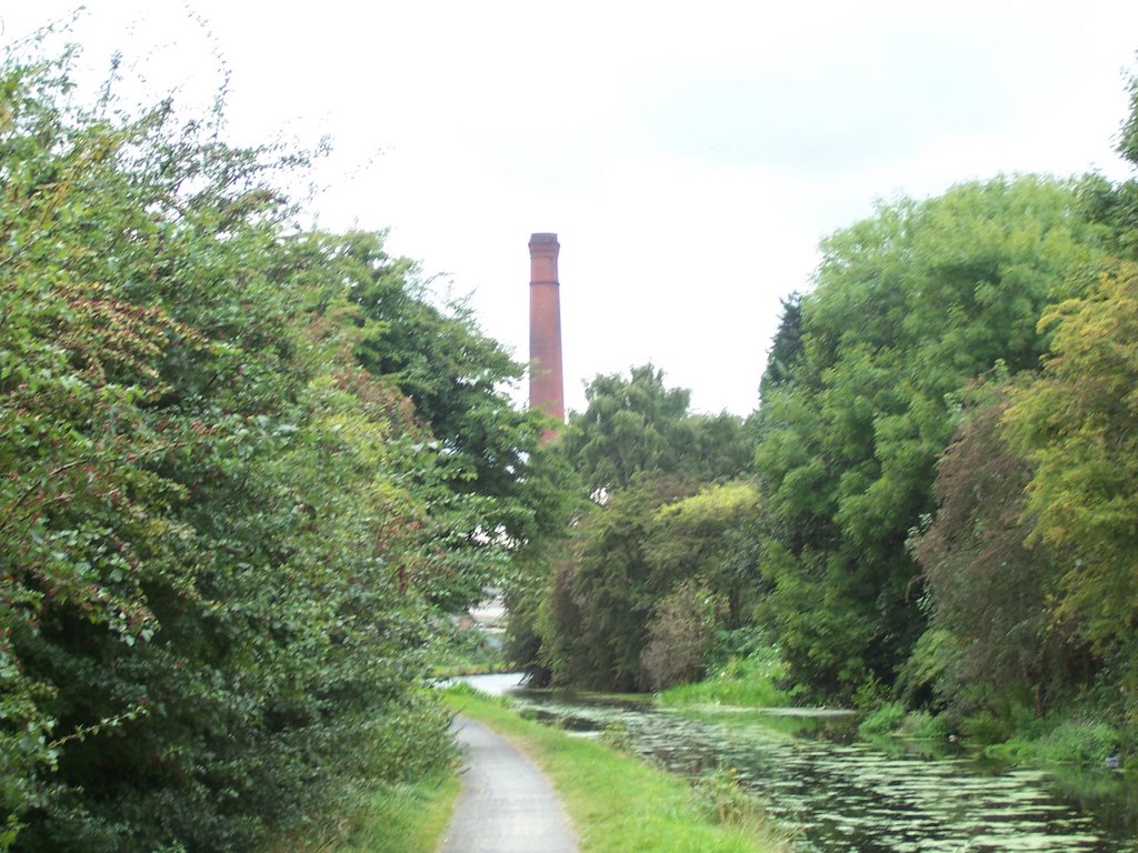 The Chimney along the Broad Canal by hazi820