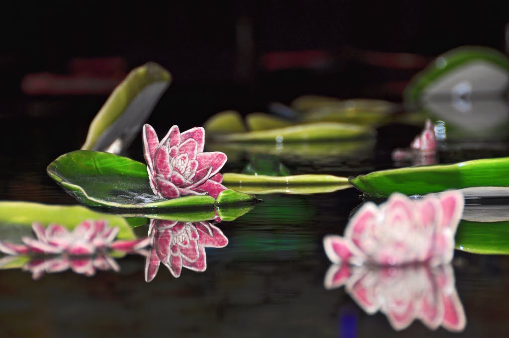 Lily Pads by Forego