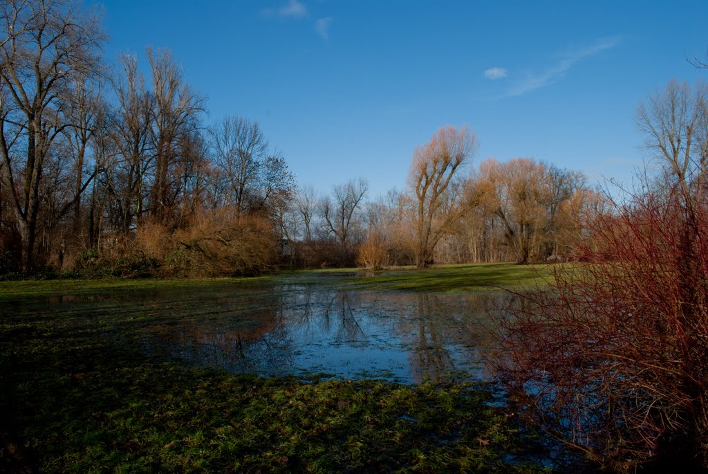 Abtnaundorfer Park by Michael Wegner