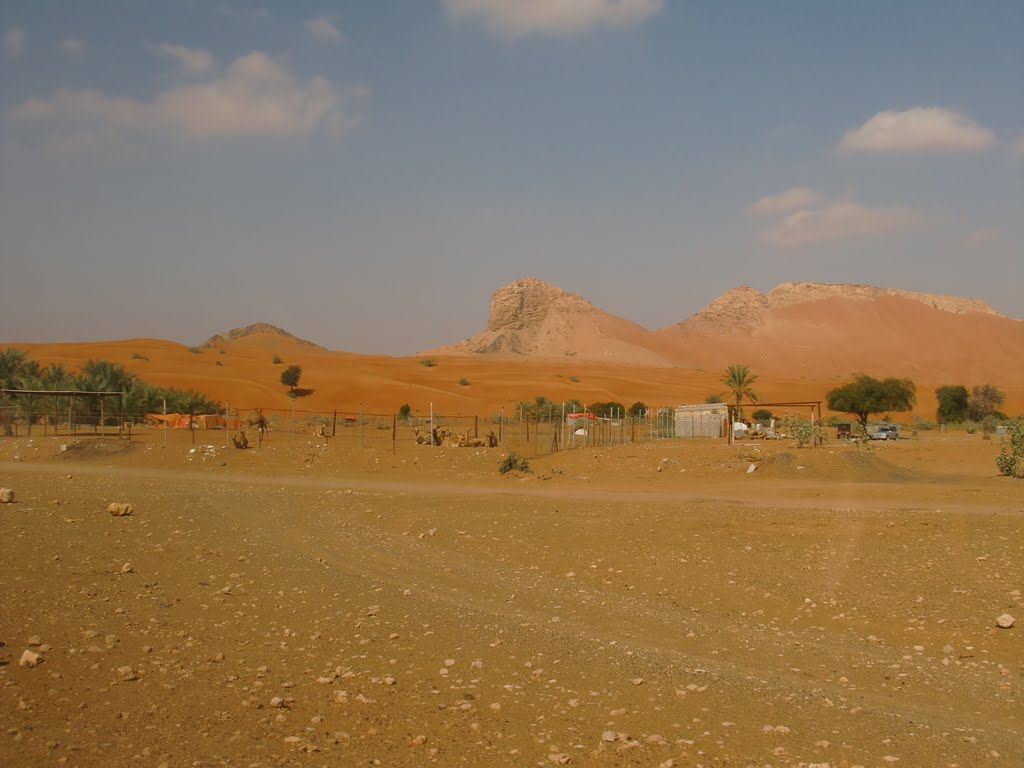 Fossil Rock, Al Malaiha (2009) by f.schaefer