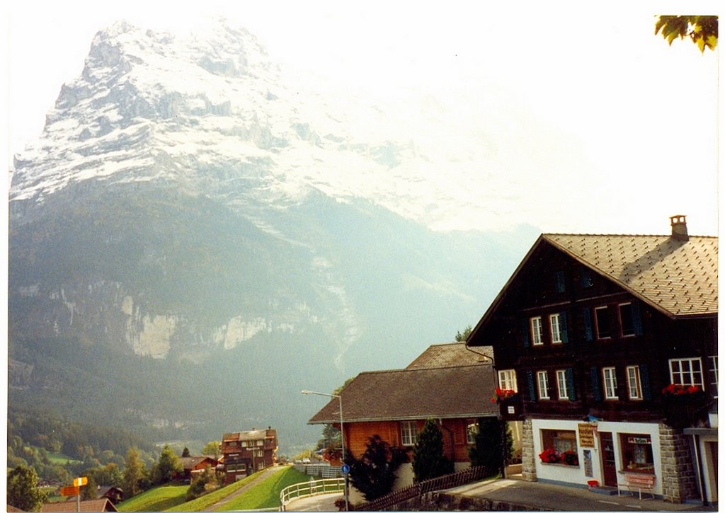 Eiger mountain & houses at Grindelwald by Alaeddin Faruki