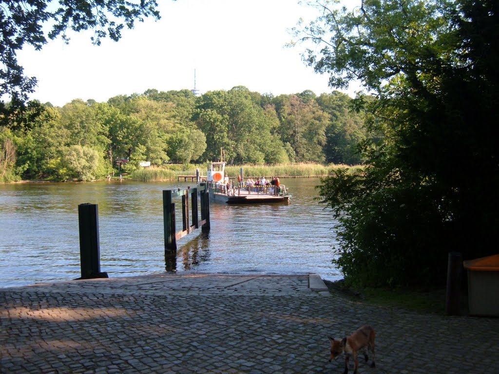 Pfaueninsel-Fähre by Wolfgang Becker