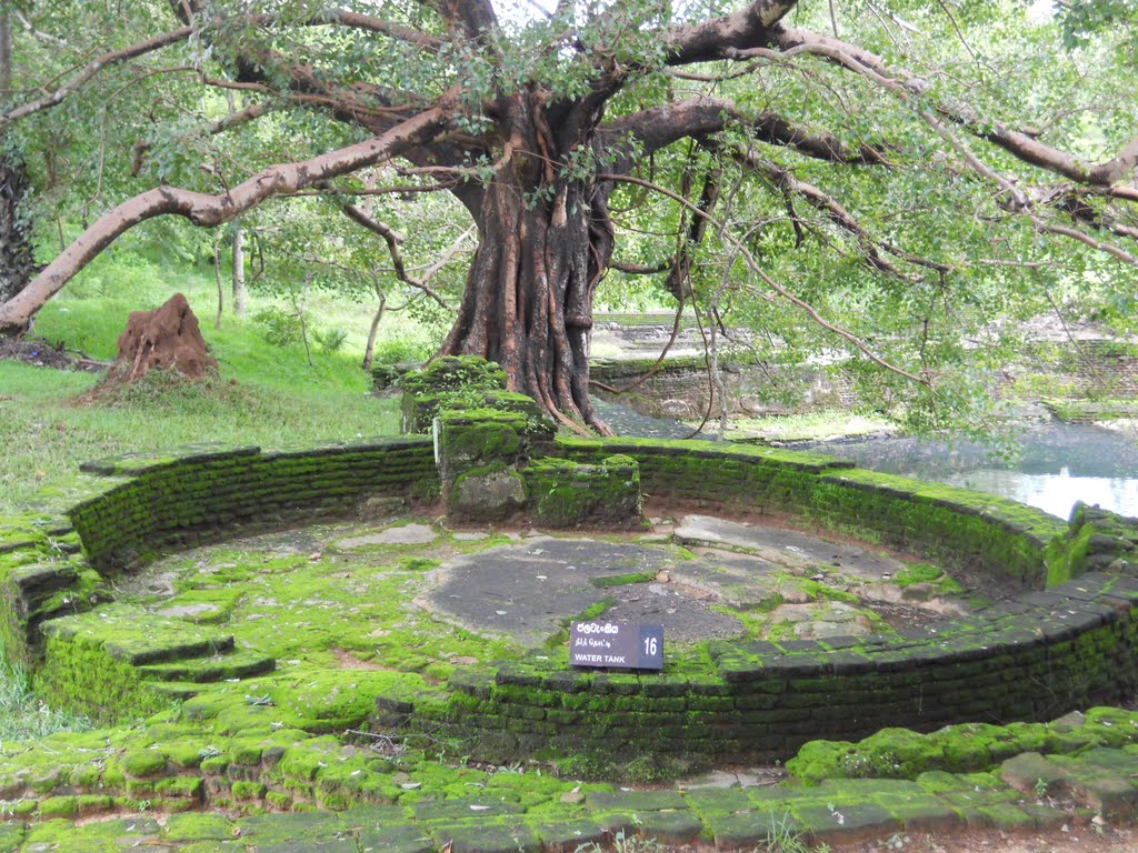 Ancient water tank in the park=Древний бассейн в парке by A.Borschevski