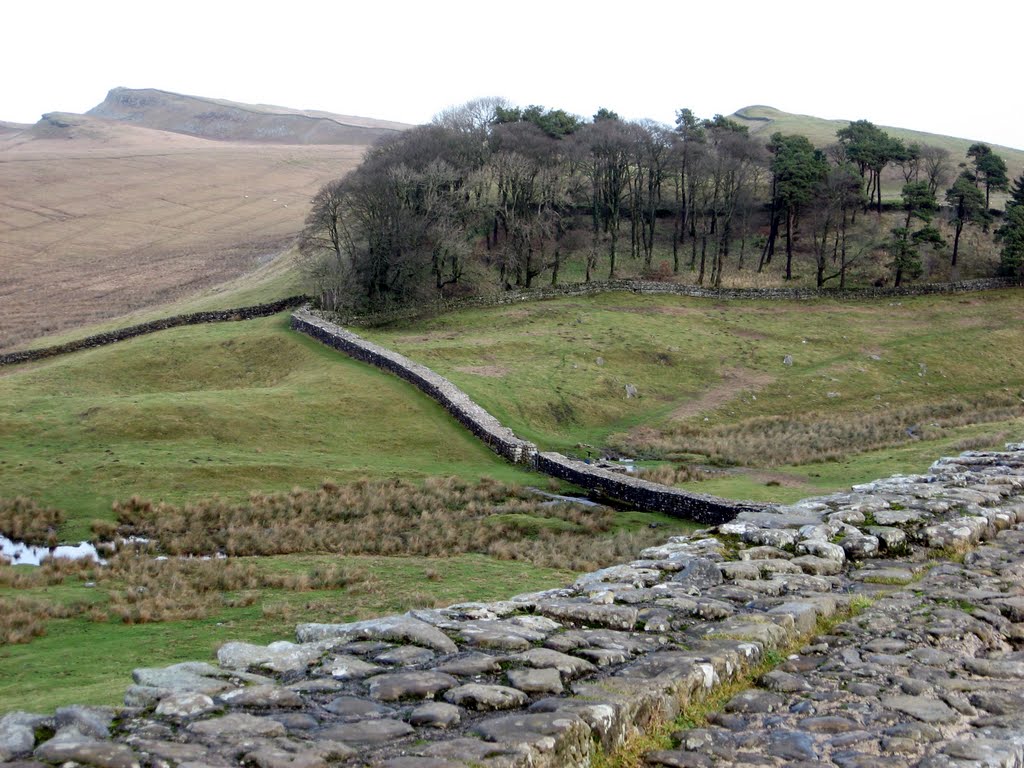 Along the Wall from Housesteads - Jan 2011 (PS) by szoltysek