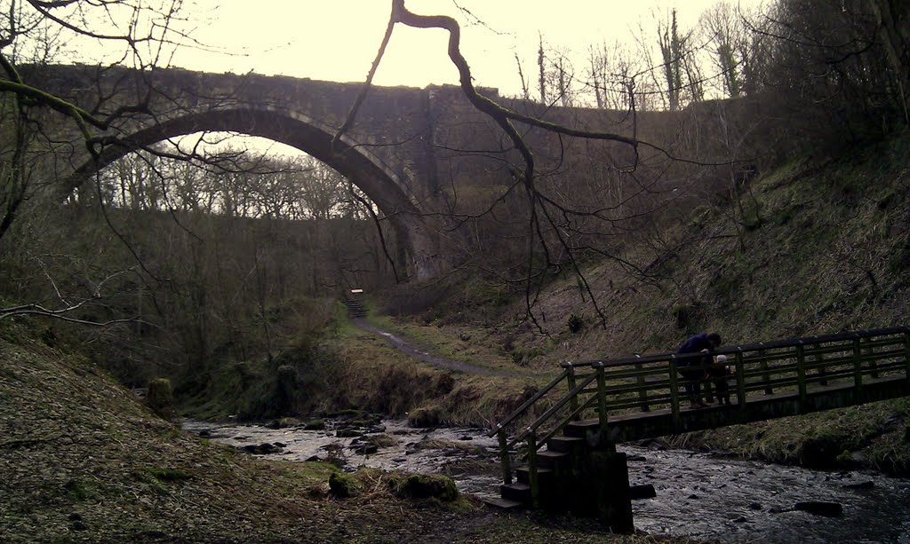 Causey Arch by boyward