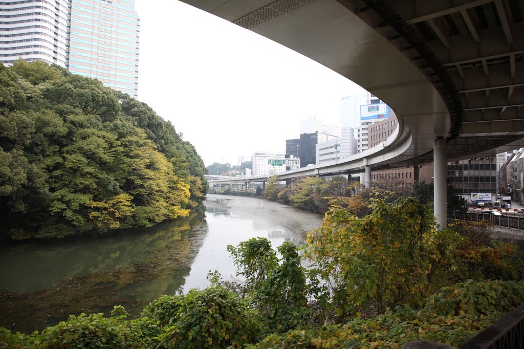 Walking around Tokyo by Dmitry Maximov