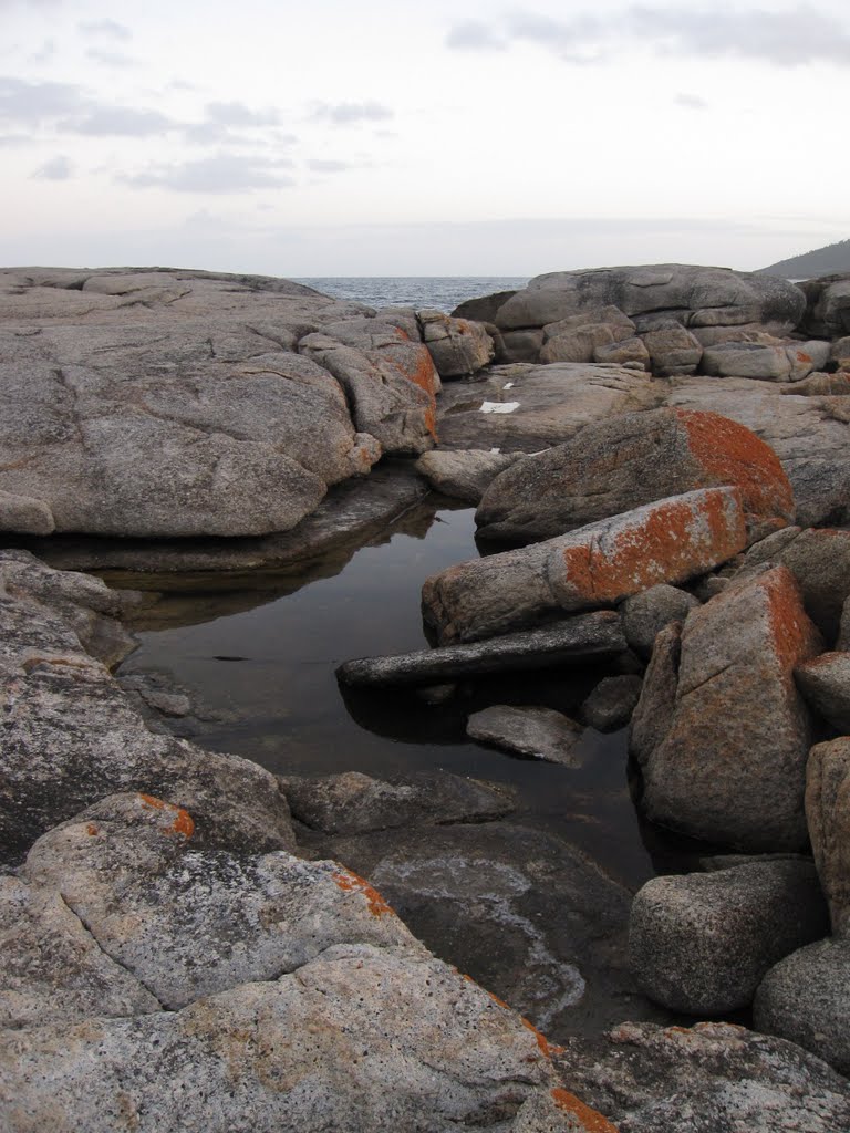 On the rocks in Bicheno, Tasmania by simmo p