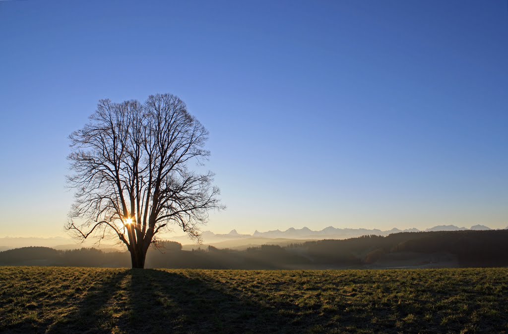 Sonntagmorgen by ©rotfri