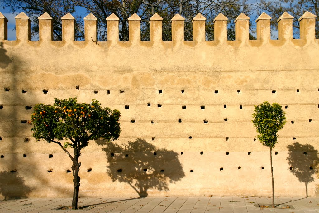 Walls surrounding Fes by Dani Horowitz