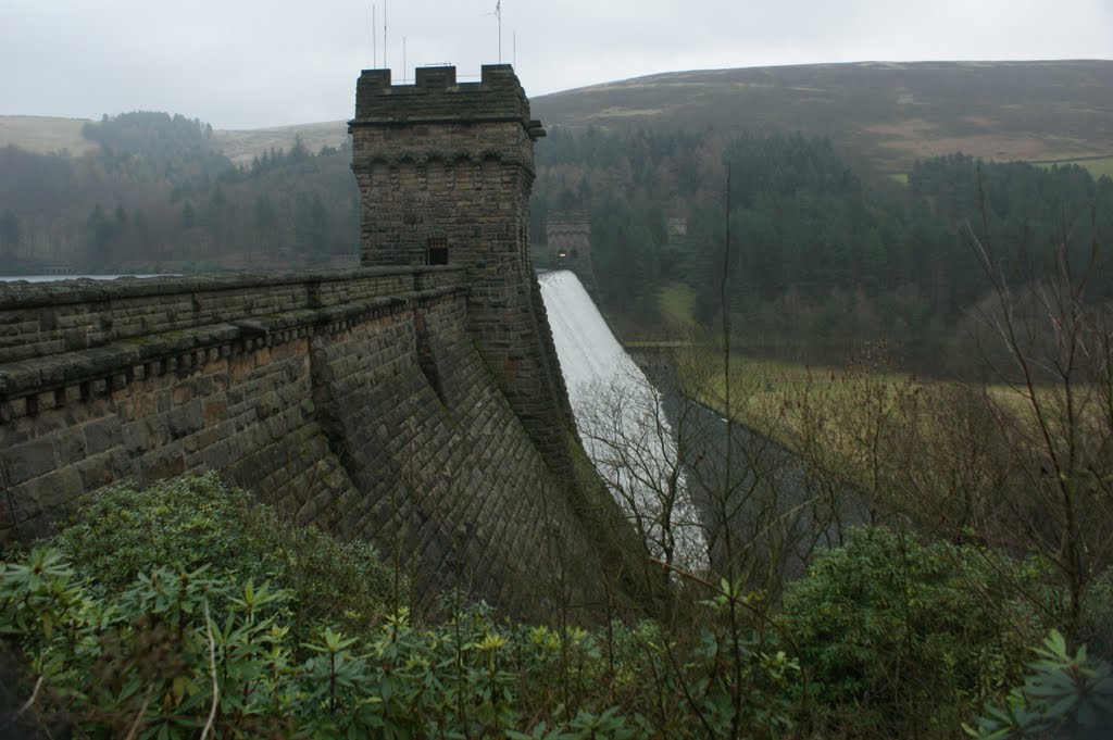 Howden Dam jan 2011 by bob gillatt