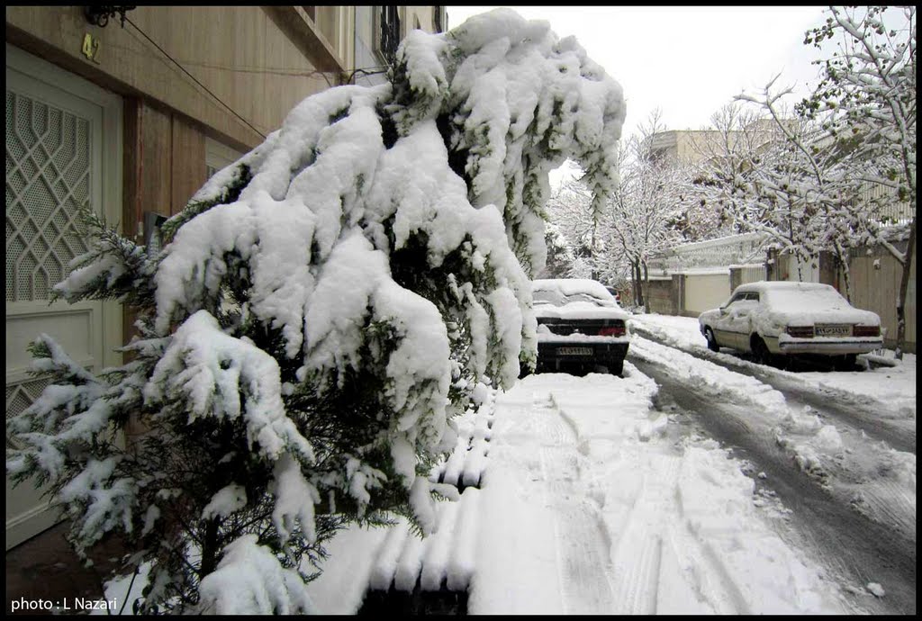 Walking alone on a beautiful snow day by L Nazari