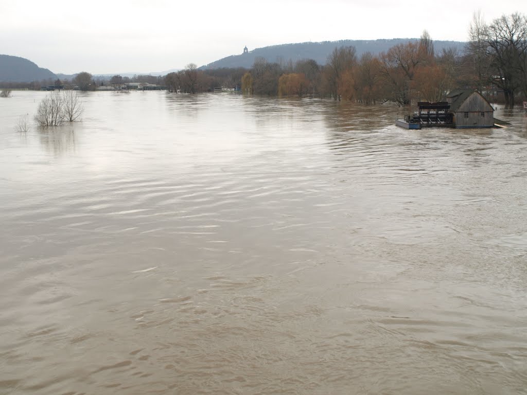 Weser-Hochwasser Januar 2011 in Minden by Udo S.