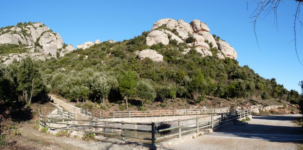 Bassa de Sant Miquel by Joel Marimon Bonet