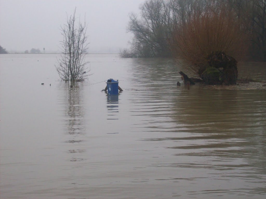 Bomen en prullebak in Wageningen onder water door overstroomde Rijn by matthijsvb90