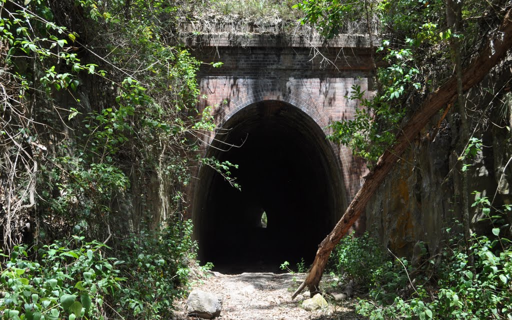 Old Railway Tunnel 1 - Eastern End (from old Seahampton Colliery) by MalcolmB