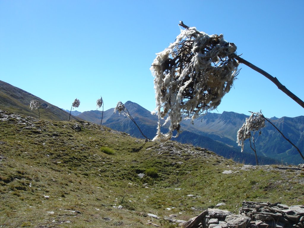 En montant au Lac du Grand Laus by lbley