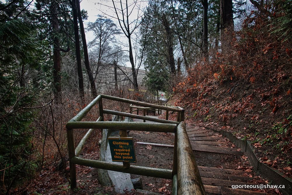 Stairs leading down to Wreck Beach Trail 6 by gporteous