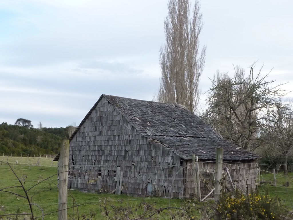 Bodega en los campos Chilotes. by georgina guichaquelen