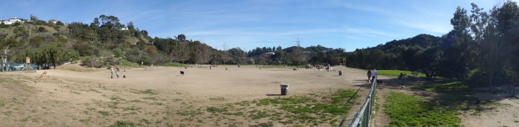 Laurel Canyon Dog Park by Jacob