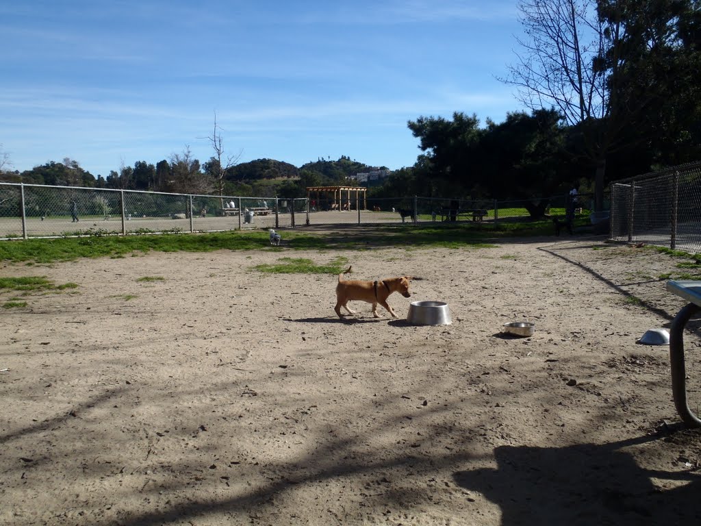 Laurel Canyon Dog Park by Jacob