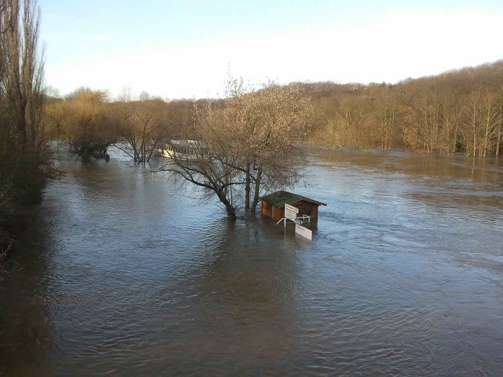 Saalehochwasser Kröllwitzbrücke Halle 16.01.11 by Mike Kuschfeld