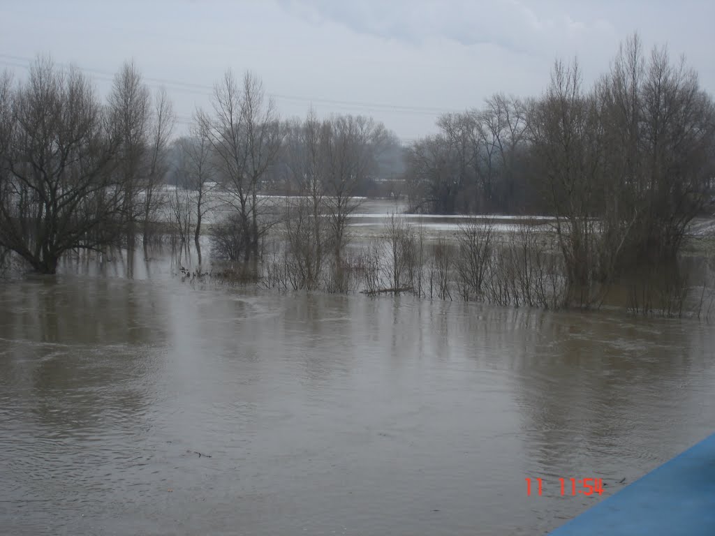 Halle / Saale - Saalebrücke bei Röpzig - Hochwasser Januar 2011 by turboschnecke78