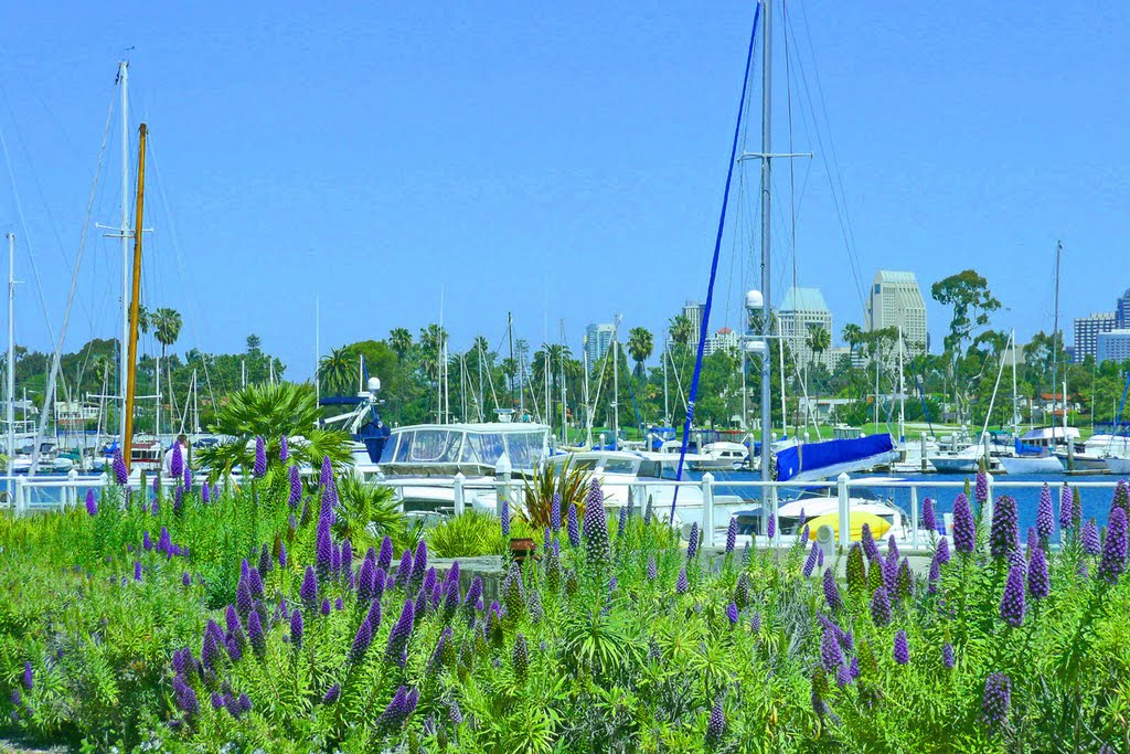 Coronado San Diego@HH by Hanny Heim