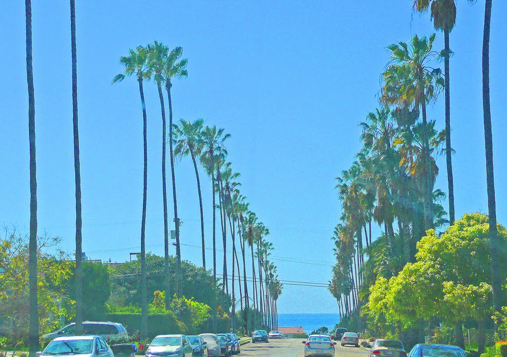 La Jolla@HH by Hanny Heim