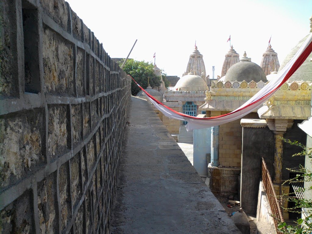 Wall of Narayan Sarovar Fort by Viral M. Vora