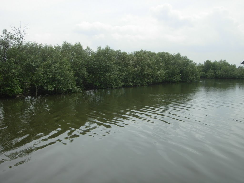 Sungai Marunda (alur Masuk di Muara Marunda) by Kepri