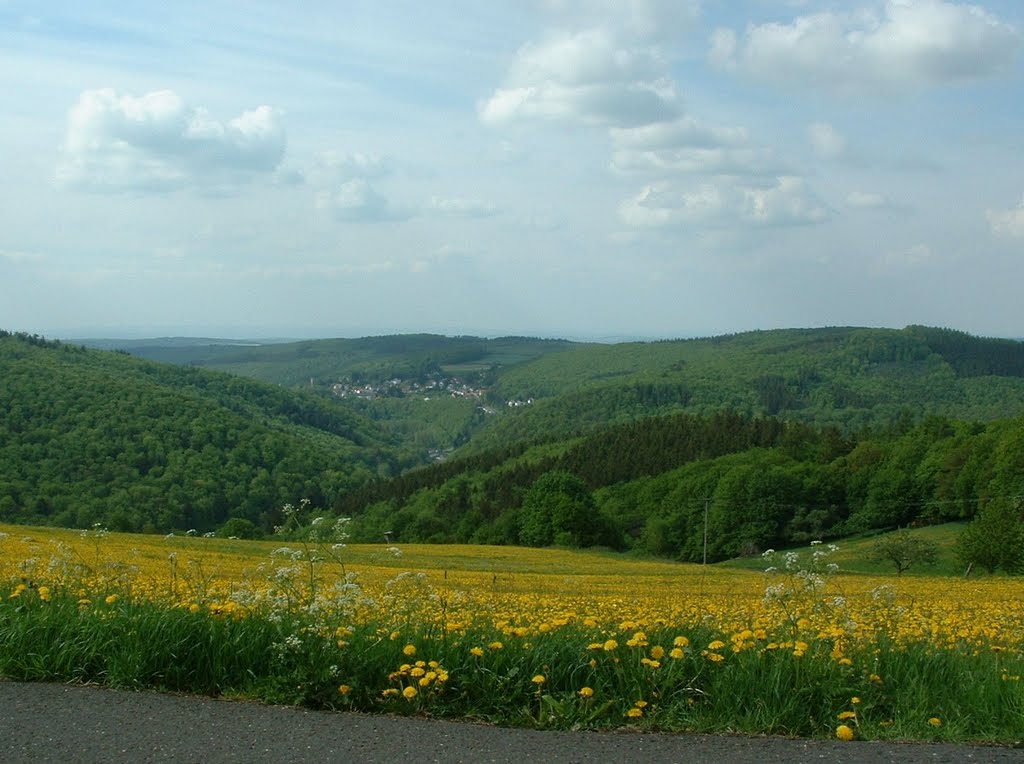 Blick von Treisberg auf Hunoldstal by desertrats