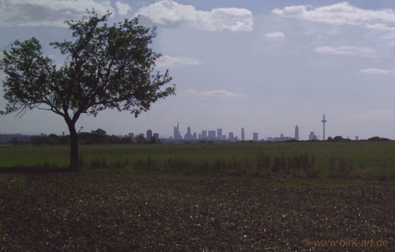 Frankfurt skyline, Germany by bastian birk