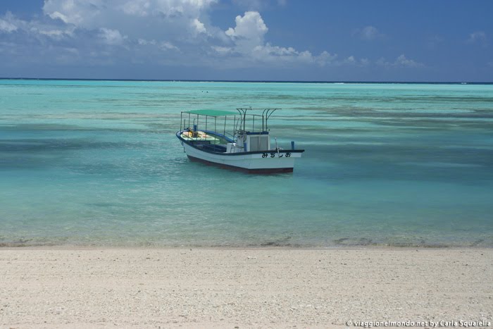 Amami islands - Giappone by Viaggionelmondo.net