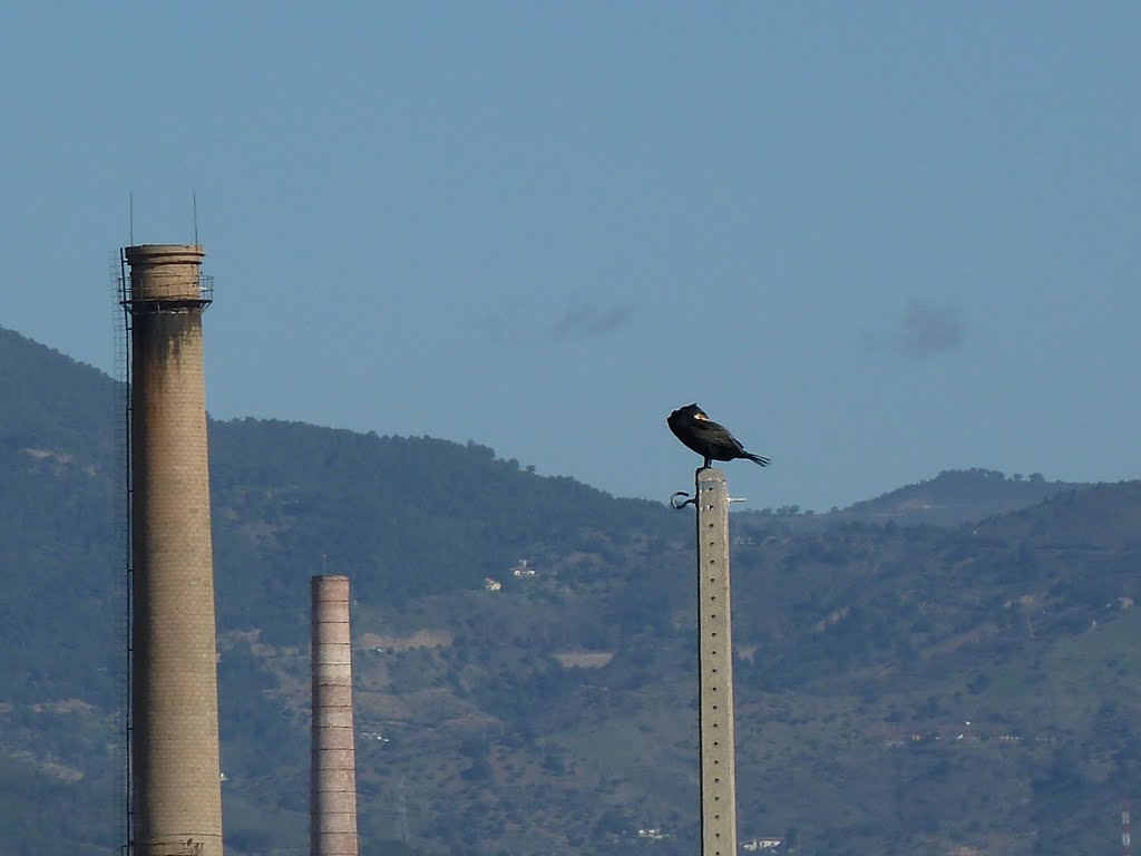 Parque del Guadalhorce, 29004 Málaga, Spain by Chacon Malaga