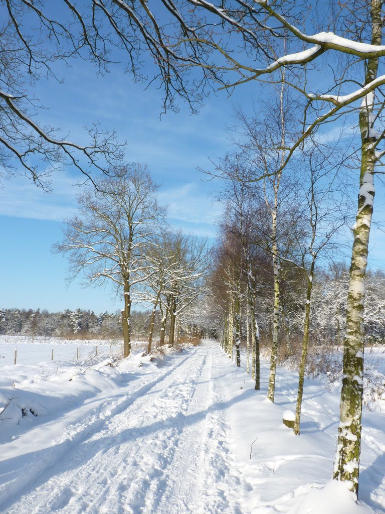 De hurken waalre by Harm ter stege