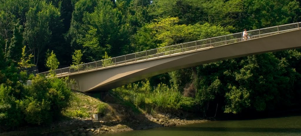 Pasarela riberas de loiola footbridge by anta.ingenieria.civi…