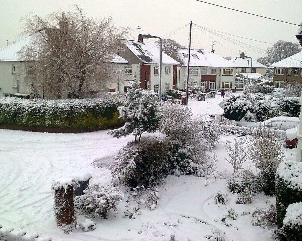 Snow in Llanishen 2010 by chickenlegs