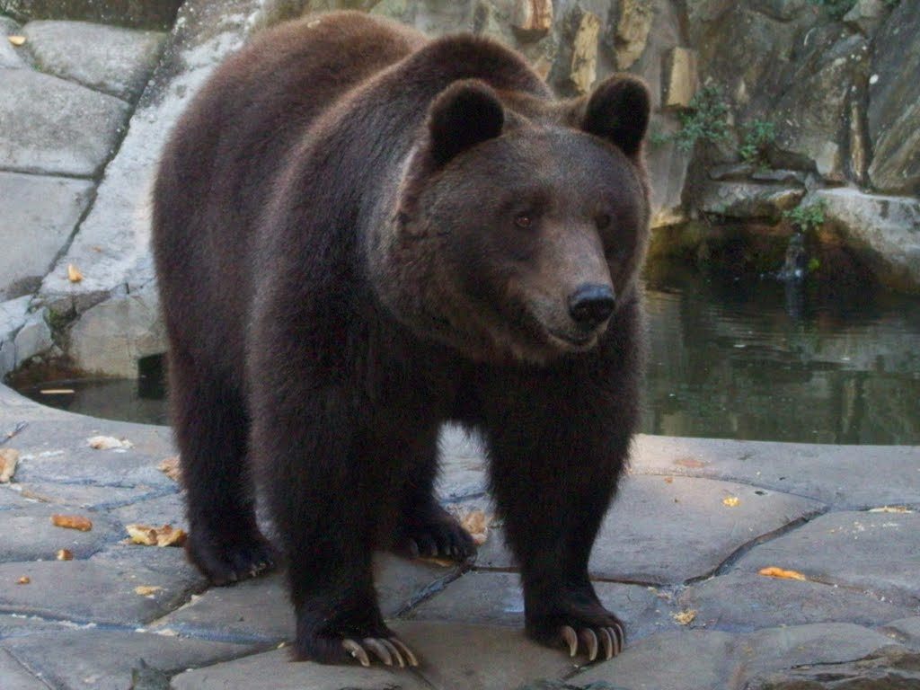 Thessaloniki zoo by giotispapu