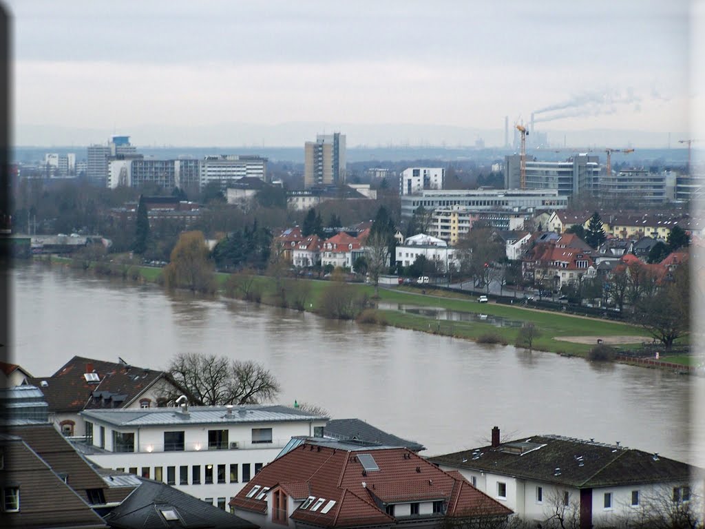 Blick auf Handschuhsheim by S.Achenbach pictures