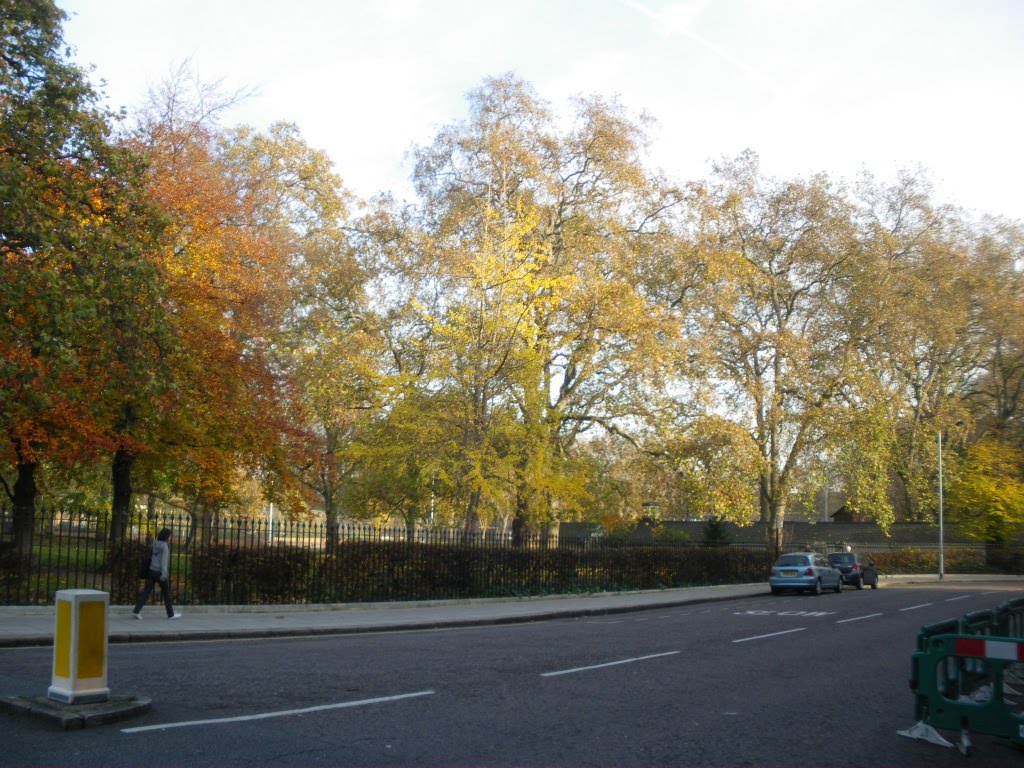 Coram's Fields by S. Jimenez