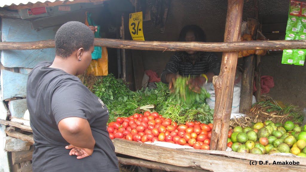 Tomatoes anyone? by African Wood Inc.