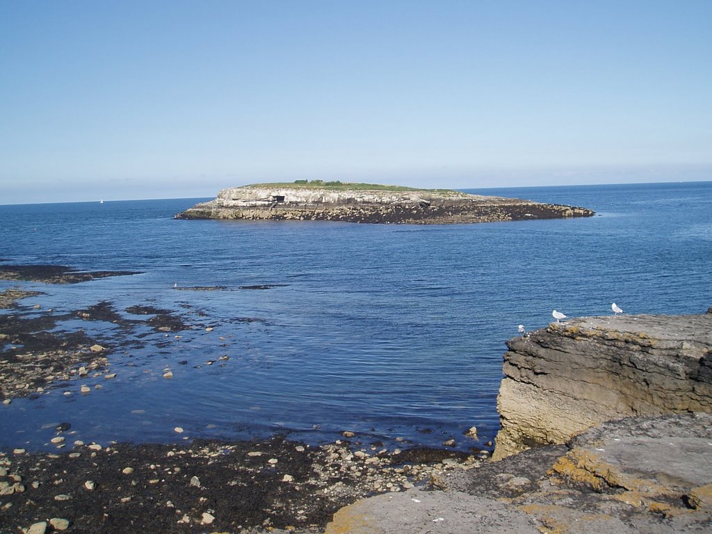 Moelfre by Pedro the Fisherman